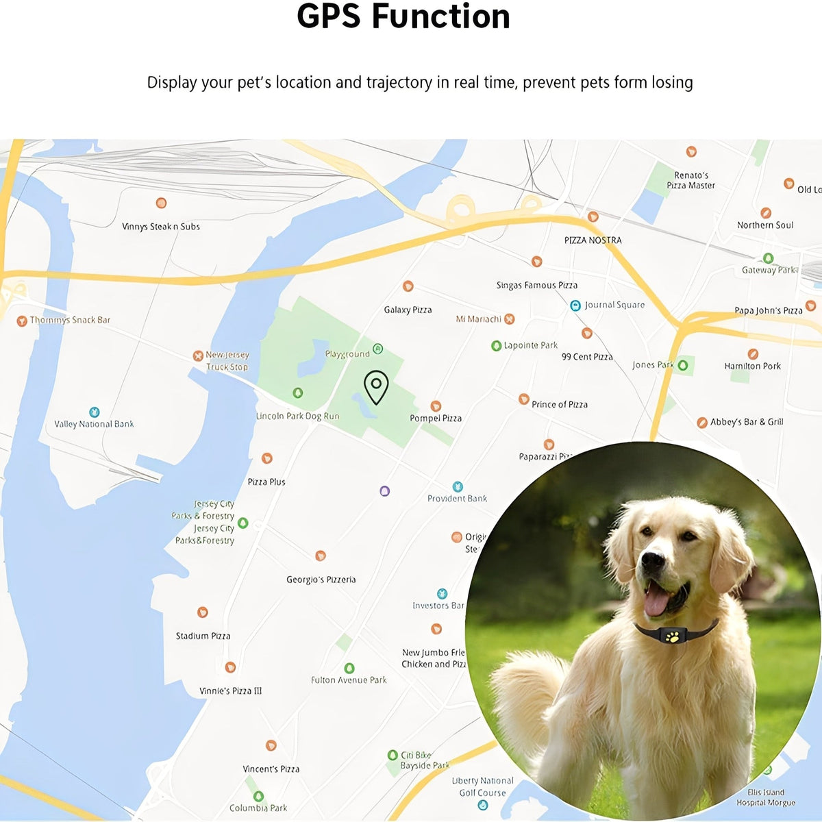 GPS Pet Collar with App Location Features and Adjustable Strap