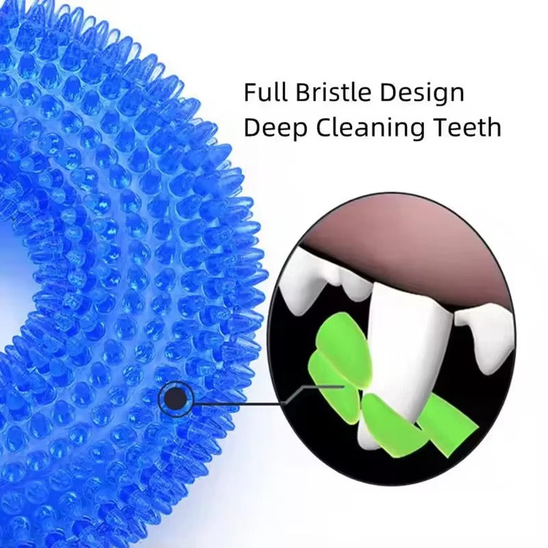 Rubber Dog Chew Ring Toy with Built In Squeaker
