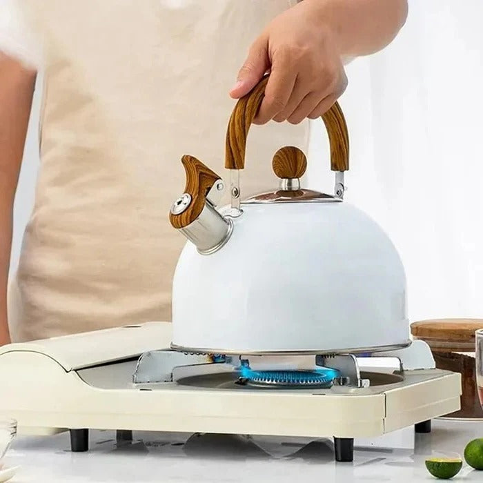 Stainless Steel Whistling Stovetop Kettle with Insulated Handle