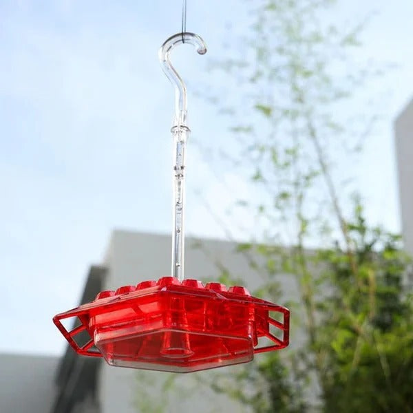 Hanging Hummingbird Feeder Ant Proof Design with Moat