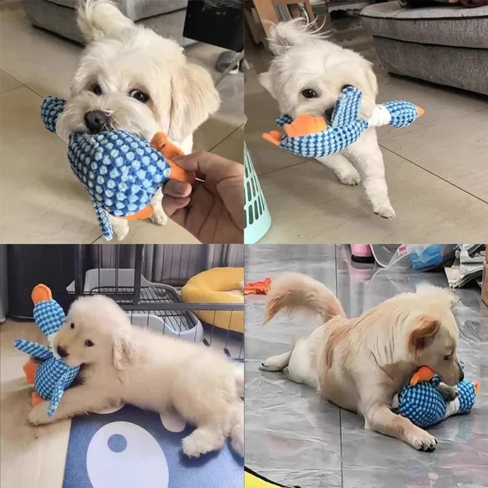 Dog Chew Toy with Plush Material and Built In Squeaker