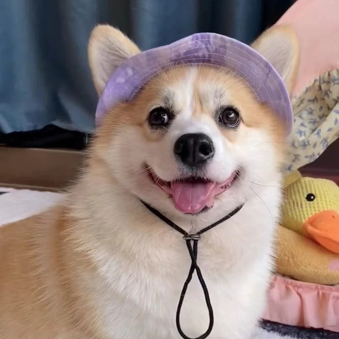 Pet Sun Hat with Adjustable Strap